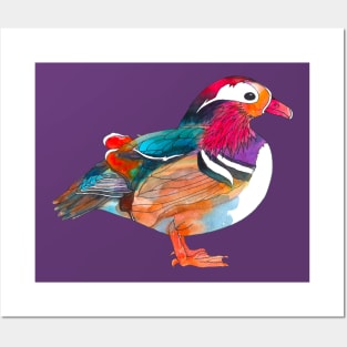 Mandarin duck in vibrant watercolor Posters and Art